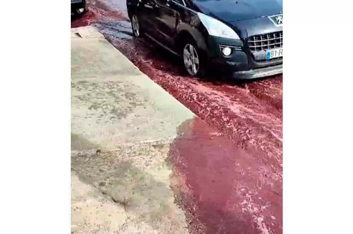 Vinhos nas ruas:  Anadia: Derramados dois milhões de litros de vinho na estrada (com vídeo)